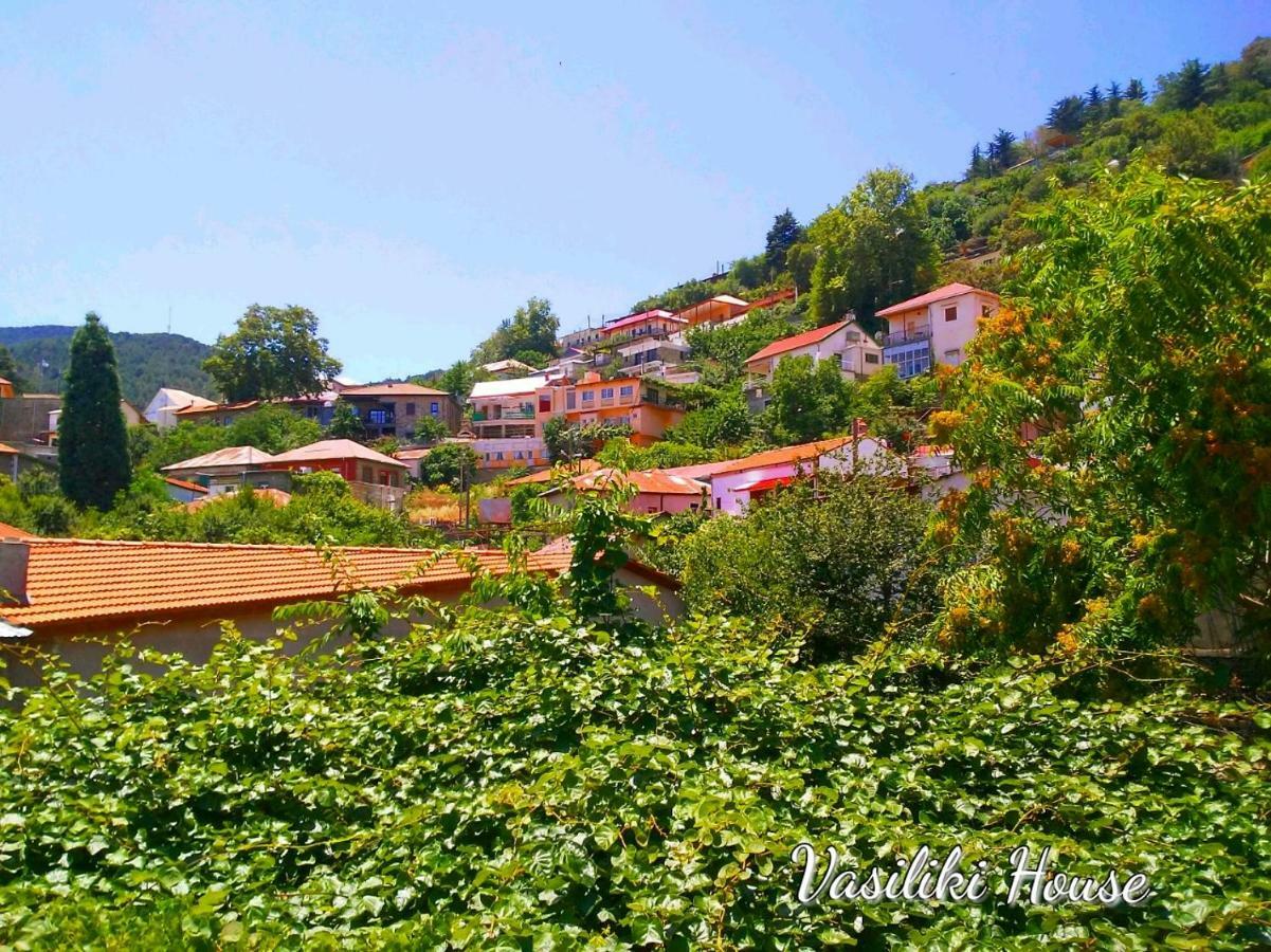 Vasiliki Guest House Pedhoulas Exterior photo